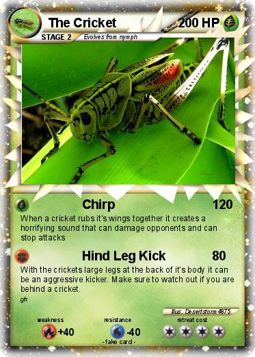 Pokemon The Cricket
