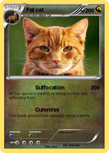 Pokemon Fat cat
