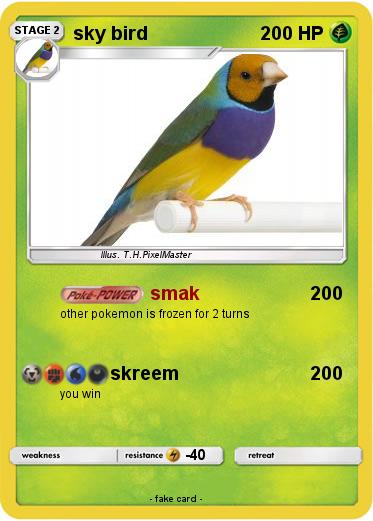 Pokemon sky bird
