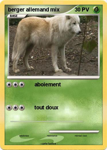 Pokemon berger allemand mix