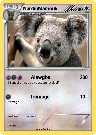 Pokemon NardinMamouk