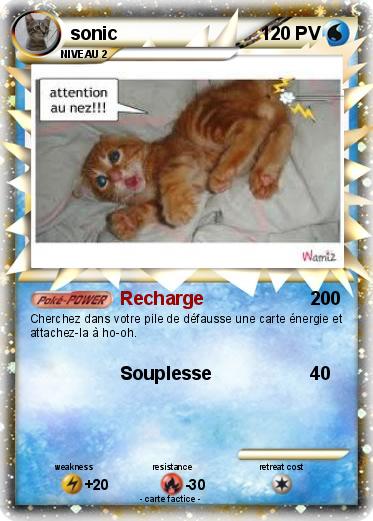 Pokemon sonic