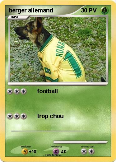 Pokemon berger allemand