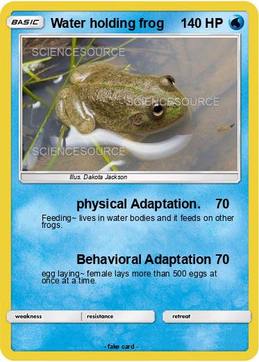 Pokemon Water holding frog