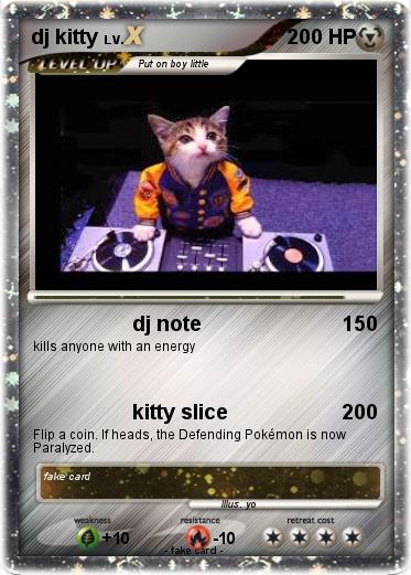 Pokemon dj kitty