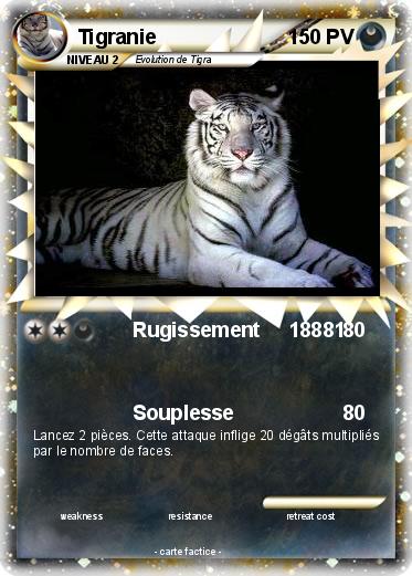 Pokemon Tigranie