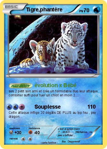 Pokemon Tigre,phantère