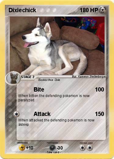 Pokemon Dixiechick