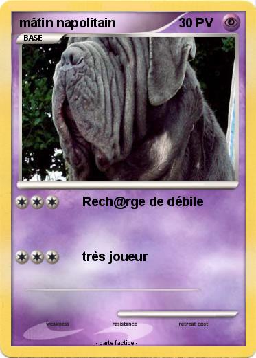 Pokemon mâtin napolitain