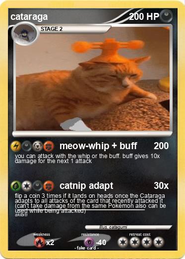 Pokemon cataraga