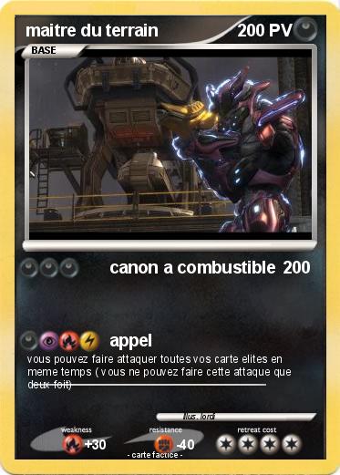 Pokemon maitre du terrain