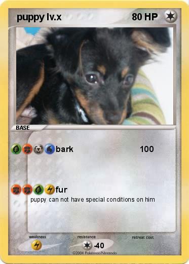 Pokemon  puppy lv.x