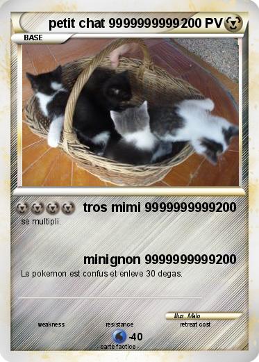 Pokemon petit chat 9999999999