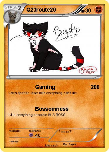 Pokemon Q23route20