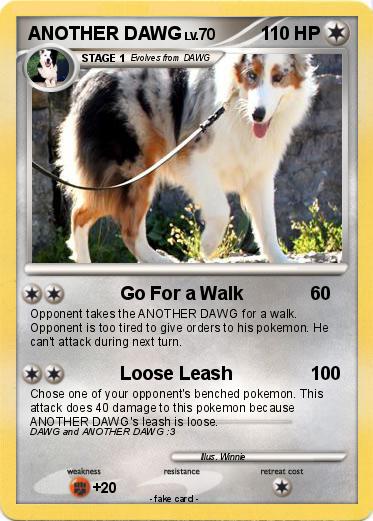 Pokemon ANOTHER DAWG