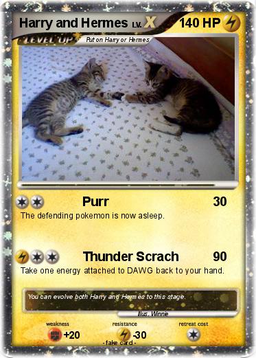 Pokemon Harry and Hermes