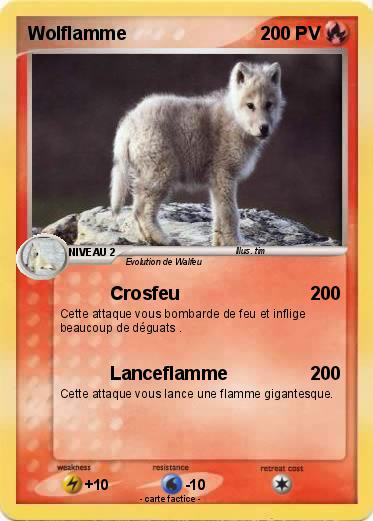 Pokemon Wolflamme