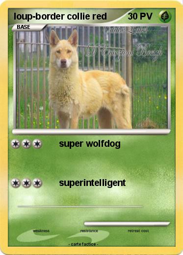 Pokemon loup-border collie red