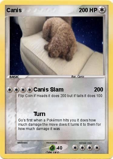 Pokemon Canis