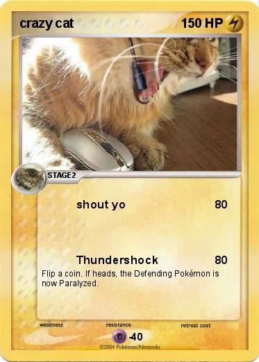 Pokemon crazy cat
