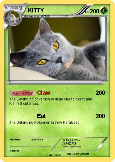 Pokemon KITTY
