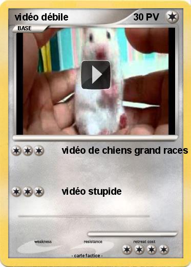 Pokemon vidéo débile