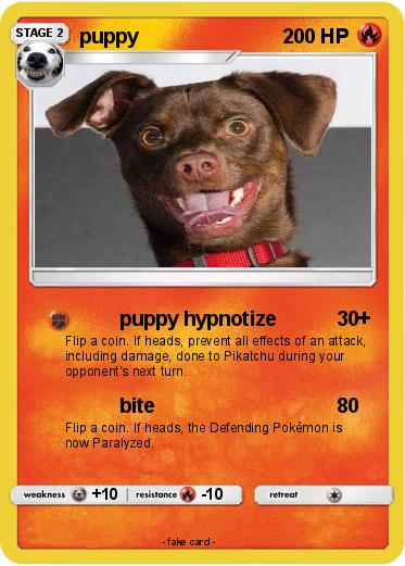Pokemon puppy