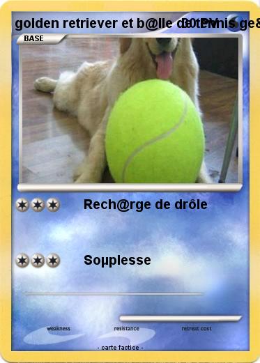 Pokemon golden retriever et b@lle de tennis ge&anr