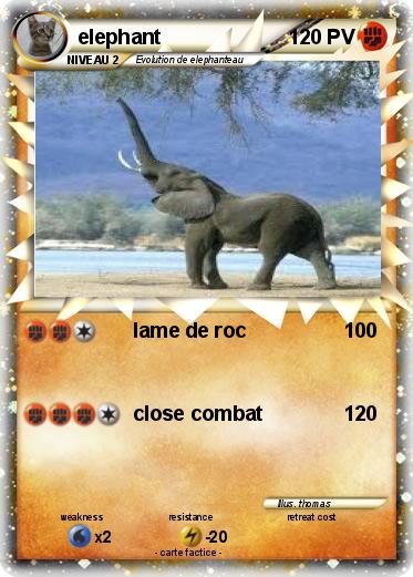 Pokemon elephant