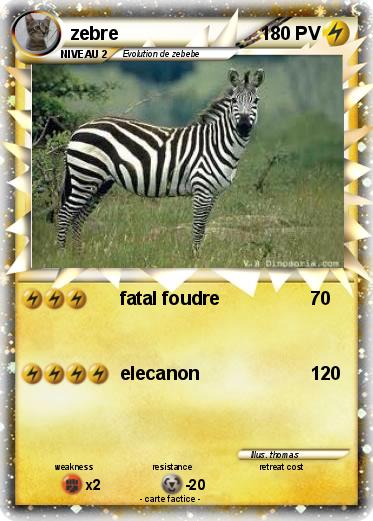 Pokemon zebre