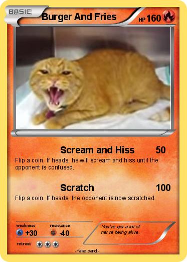 Pokemon Burger And Fries