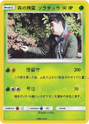 Pokemon 森の精霊 ソラチュウ