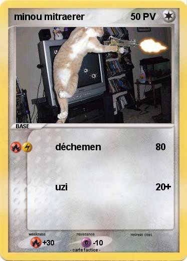 Pokemon minou mitraerer