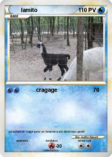 Pokemon lamito