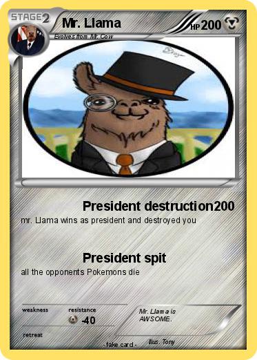Pokemon Mr. Llama