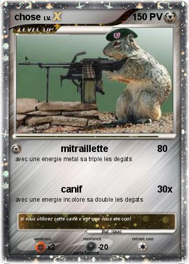 Pokemon chose