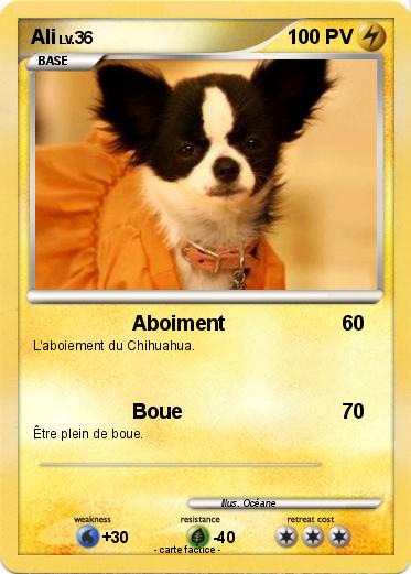 Pokemon Ali