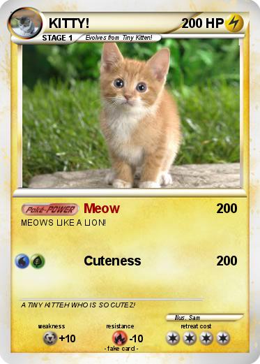 Pokemon KITTY!