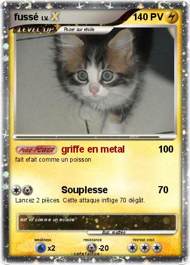 Pokemon fussé