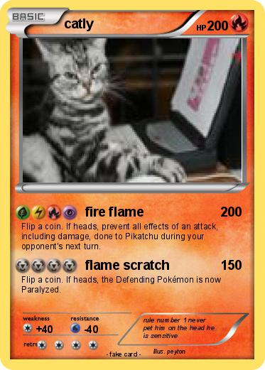 Pokemon catly