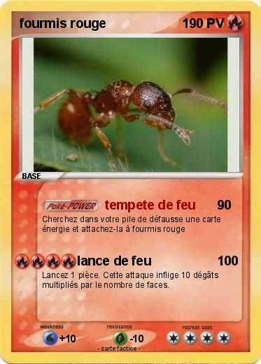 Pokemon fourmis rouge
