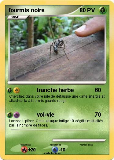 Pokemon fourmis noire