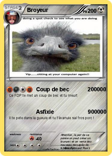 Pokemon Broyeur