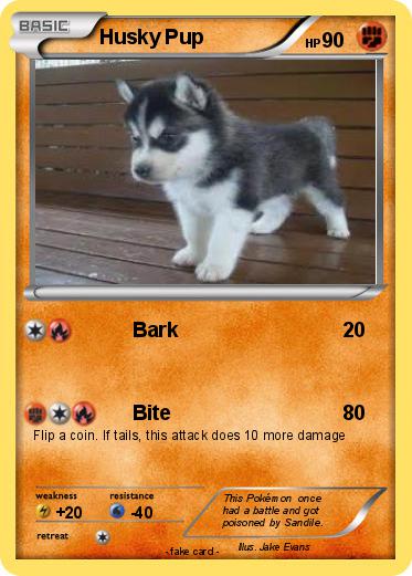 Pokemon Husky Pup