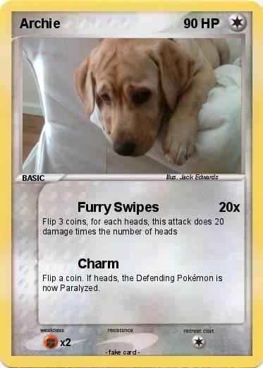 Pokemon Archie