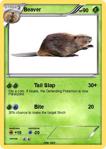 Pokemon Beaver