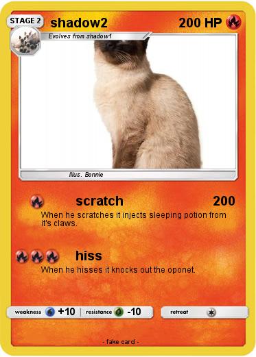Pokemon shadow2