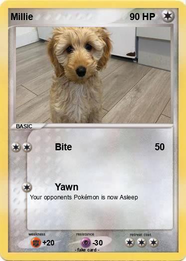 Pokemon Millie