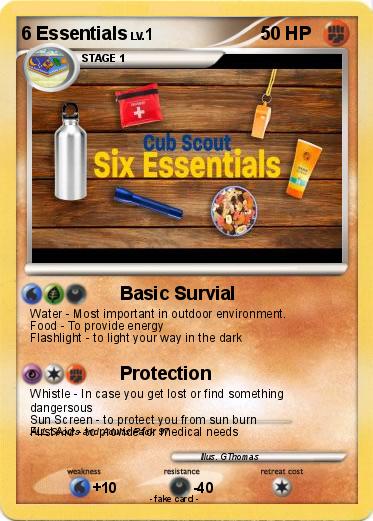 Pokemon 6 Essentials