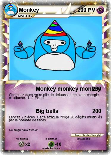 Pokemon Monkey